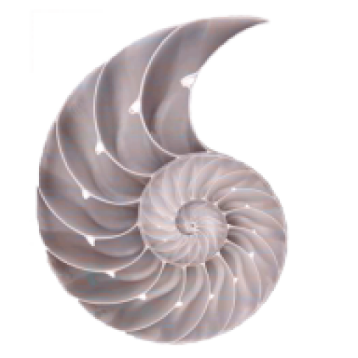 Tổng đại lý Công ty Gia truyền Hồng Đức